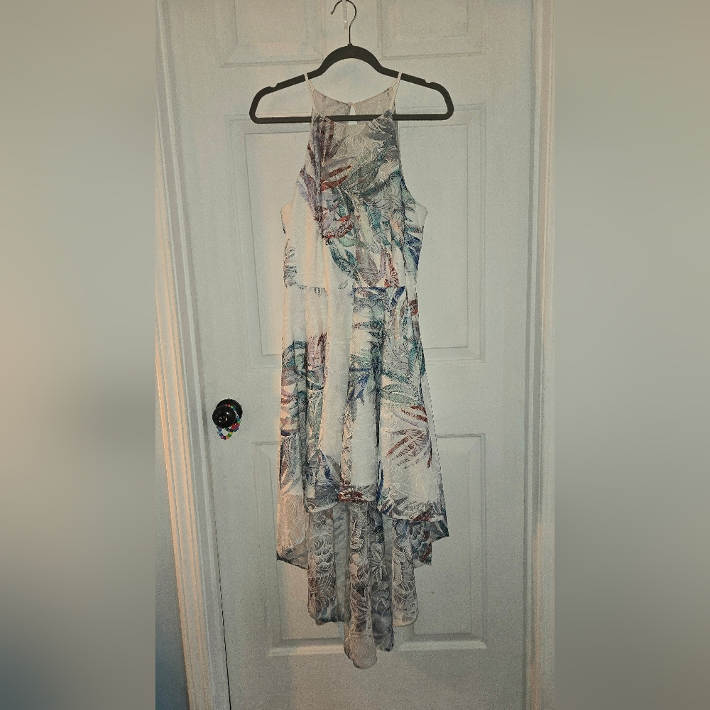 Mark & James Badgley Mischka Hi-low Embroidered Dress Size 12